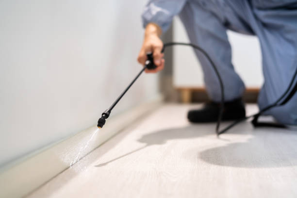 Bed Bug Pre-Treatment Preparation Assessment in Carbondale