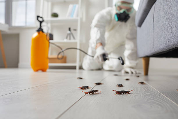 Post-Treatment Bed Bug Interceptor Monitoring in Carbondale