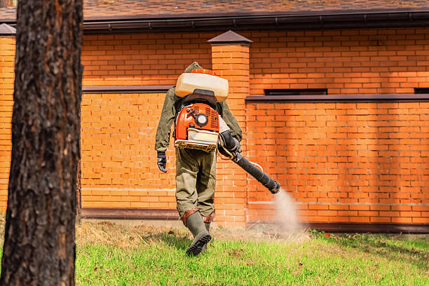 Bed Bug Clearance Verification and Documentation in Carbondale